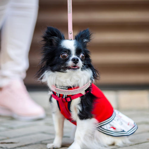 Sparkly Dog Leash with Rhinestones - PU Leather Training Leash for Small Dogs, Sparkly Studded Walking Chain