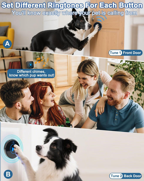Cangecit 2026 IP65 1000ft 55 5 (4 Dog Door Bell Enhanced Touch, Wireless Doggie Doorbell for Potty Training to Go