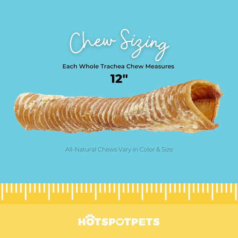 hotspot pets Premium 12'' Beef Trachea for Dogs, All Natural Long Lasting Chews Rich in Glucosamine