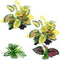 Reptile Artificial Plants, Terrarium Decorations Supplies, Aquarium Fish Tank Plant, Amphibian Habitat Accessories (M