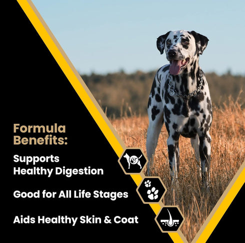 Victor Super Premium Dog Food – Multi-Pro Dry Dog Food, Gluten Free with Beef, Chicken and Pork Protein, 5 lb