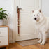 BOUYOTA Dog Door Bells for Potty Training, Big Brass Puppy Housebreaking Bell with Leather Strap, Train Your Dog