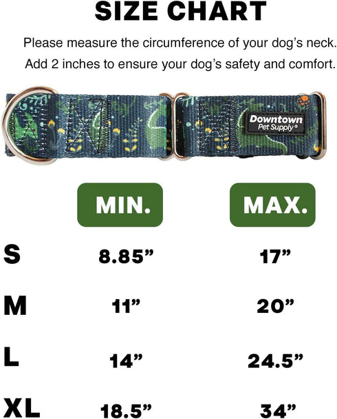 Downtown Pet Supply Martingale Collar for Dogs, Big Wide Thick Dog Training Collar, Escape-Proof, Dino, Small