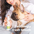 Oxyfresh Advanced Pet Dental Spray – 8oz Instant Dog and Cat Fresh Breath: Easiest No Brushing Solution for Dogs and