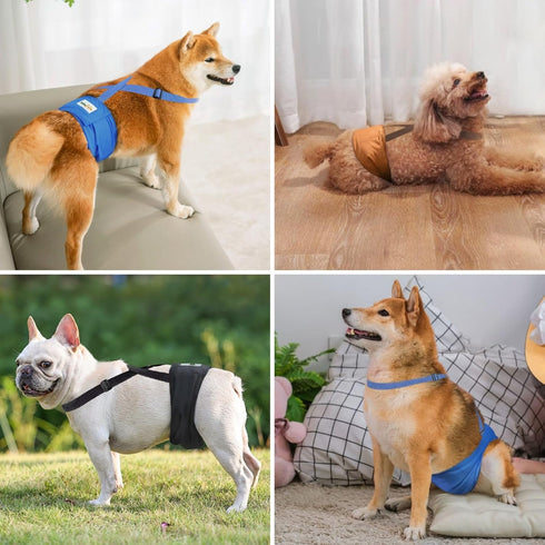 Idepet 3 Pack Belly Bands for Male Dogs with Suspender Detachable, Male Dog Belly Bands Washable Doggie Boy Diapers
