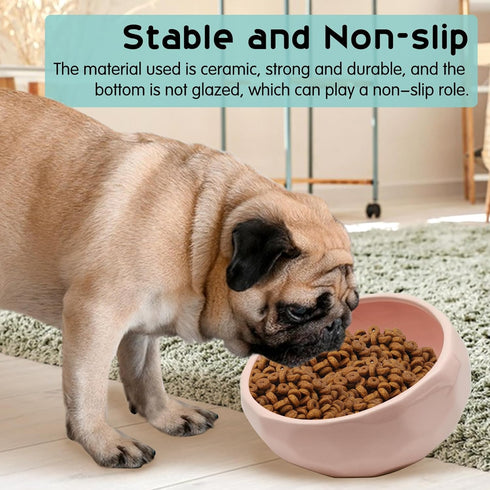 kathson Ceramic Slanted Dog Bowl, Cat Food Water Bowls Dish, Tilted 15° Pet Comfort Feeding Bowls (Pink)