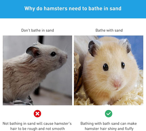 Hamster Small Animal Sand Bath Box - Bathtub with Bath Sand and Scoop Accessories for Mice Hedgehog Gerbils (Large)