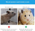 Hamster Small Animal Sand Bath Box - Bathtub with Bath Sand and Scoop Accessories for Mice Hedgehog Gerbils (Large)