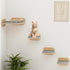 Megidok Cat Wall Furniture Corner Climbing Shelf Perches, Cat Bed Wall Mounted