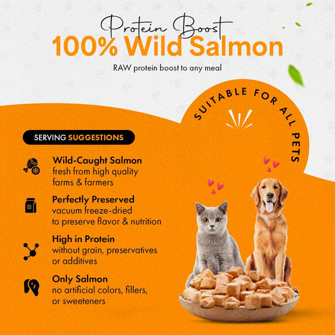 100% 1.4 oz Freeze Dried Salmon Cat Treats | Wild Caught Salmon Dog Treats, Grain- Free | High Protein, Single
