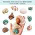 Hermit Crab Shells Medium and Large, 12PCS Growth Turbo Seashells for Small Medium and Large Crabs.