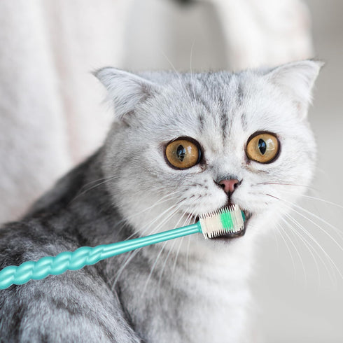 EupHHonycs 4 360-Degree Pcs Small Dog and Cat Soft Toothbrush Pet Toothbrush for Puppy, Small Dog and Cat