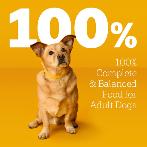 30-Count Pack, 3.5 oz. Pedigree Choice Cuts in Gravy Adult Wet Dog Food Beef Flavor Variety Pouches