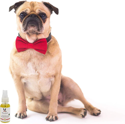 Warren London Nose & Paw Pad Moisturizer for Dogs - 1oz Grapeseed Oil & Essential Oil Blend