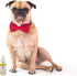 Warren London Nose & Paw Pad Moisturizer for Dogs - 1oz Grapeseed Oil & Essential Oil Blend