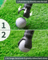 GreenHaven Golf Ball Retriever Grabber for Putters, Portable Grip Sucker Tool Back Saver for Golfers, 3-4 Pack