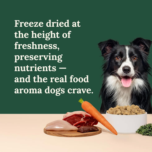 360 Omega-3s 4 5 oz Pet Nutrition Freeze-Dried Raw Dog Food Multi-Protein with Beef, Chicken, Fish, Liver & Organs