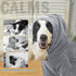 SCENEREAL Dog Hoodie Sweaters for Small Medium Large Dogs, Fleece Sweatshirt with Hat and Pocket, Grey (M)