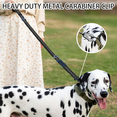 4-6FT Heavy Duty Dog Leash for Large Dogs, Shock Absorbing Bungee with 2 Padded Handles and Car Seatbelt