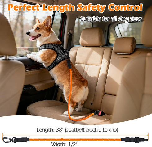 PetBonus Dog Seat Belt for Car, Durable Rope Dog Car Harness Seatbelt for Vehicle, Pet Tether Safety Restraint