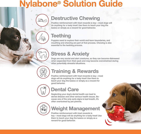 Nylabone 2 Pack of Power Chew Extreme Chewing Braided Bully Stick Alternative Dog Toys, Giant, Made in the USA