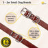 ADITYNA Heavy-Duty Premium Leather Dog Collar for Small Dogs, Padded with Soft Genuine Leather for Comfort
