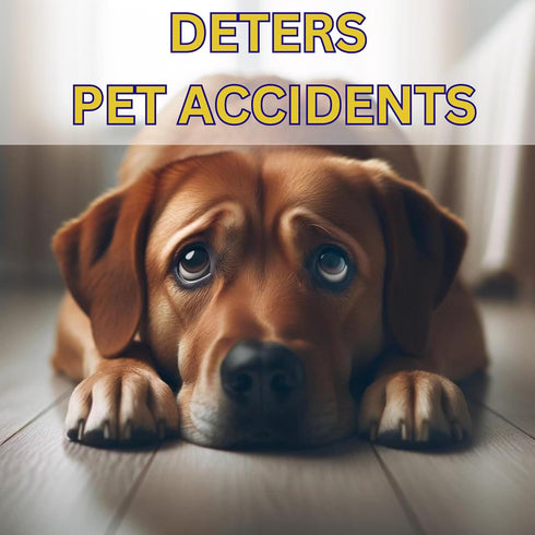 Hypoallergenic Powerful Floor Cleaner Degreaser with Enzymes - Removes Pet Odor, Deep Cleans Floors (1 Quart)
