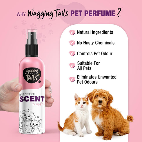 200ml (6.76 oz) Wagging Tails Baby Fresh Pet Scent | Natural Aloe Vera & Elemi Gum Oil | Long-Lasting Deodorizing Spray