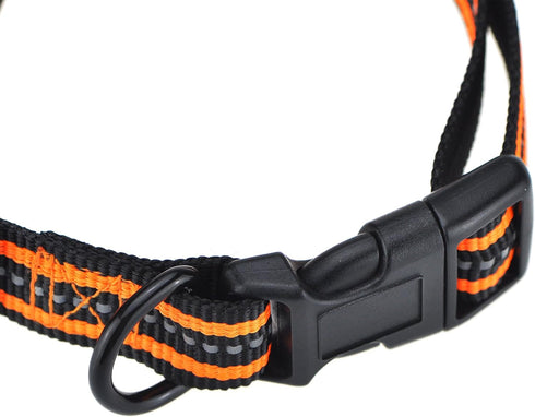 Mile High Life Reflective Dog Collar, Nylon Pet Collars with Buckle, Light Weight Puppy Collars for Small Dogs (Orange,