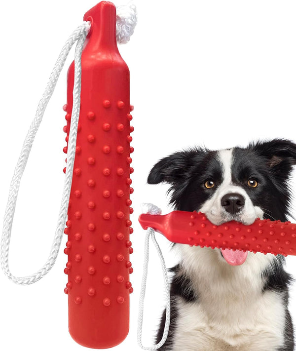 BINGPET Dog Float Bumper Toy - 10.8 Inch Large Training Dummy for Summer Pool Tug Game