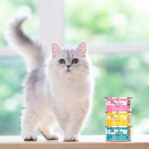 Weruva Cats in The Kitchen, Kitty Gone Wild Wet Cat Food, 10oz Can, Pack of 12