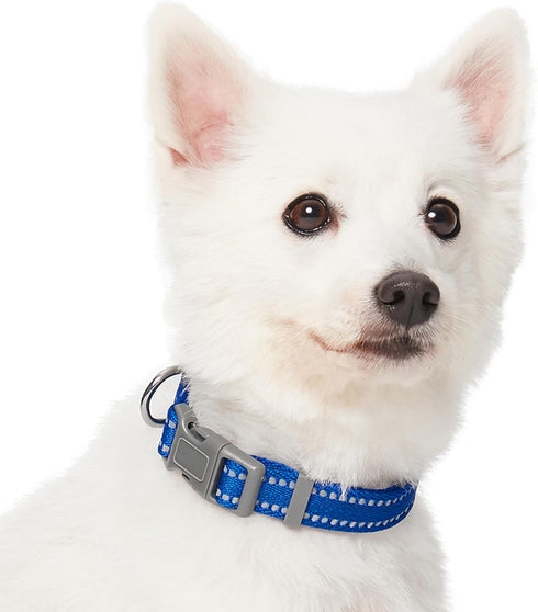 Blueberry Pet Essentials Pastel Color Reflective Dog Collar in Navy, Large, Neck 18"-26"