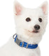 Blueberry Pet Essentials Pastel Color Reflective Dog Collar in Navy, Large, Neck 18"-26"