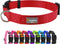 Red Adjustable Dog Collar, Basic Breathable Quick Release Nylon Collar for Puppy Small Medium Large Dogs