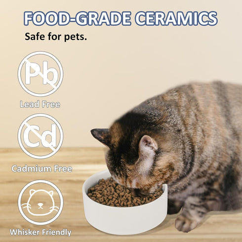 Ceramic Cat Bowl, Puppy Bowls - Whisker Friendly Heavy Cat Food Bowl, Spill Proof for Cats and Small Dogs