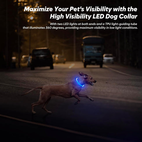 BSEEN Blue Light Up Dog Collar - 360° Visible Rainproof LED Rechargeable for Small Medium Large Dogs