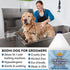 Bodhi Dog Oatmeal Shampoo & Conditioner, Naturally Deodorize Dogs, Cats & Pets, Soothes Dry, Itchy Skin, 1 Gallon