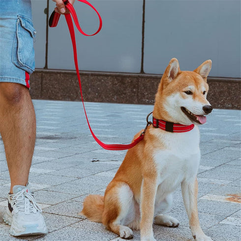 EXCELLENT ELITE SPANKER Durable Nylon Dog Training Leash, 4 Feet Long, 1" Wide with Handle for Small & Medium Dogs (Red)