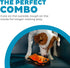 Outward Hound Durablez Minis Stuffing-Free Squeaky Plush Dog Toy for Puppies & Small Dogs - Interactive, Soft Yet