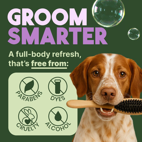 20oz. TropiClean Dog Conditioner, Easy Detangling & Moisturizing Conditioner, Puppy Safe, Made in the USA, Kiwi & Cocoa