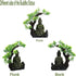 Tfwadmx Aquarium Buddha Statue Decoration, Resin Furniture Ornament for Underwater Landscape
