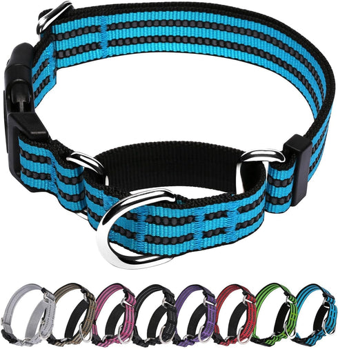 Martingale Dog Collar, Adjustable Reflective Nylon No Pull Collar with Buckle for Small Medium Large Dogs (Blue M)