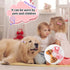 Chenkou Craft 50pcs/25pairs Puppy Yorkie Dog Hair Bows, Rubber Band Pet Grooming Products, Mix Colors & Patterns