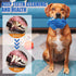 Plush Squeaky Dog Toy, Crinkle Stuffed Dog Toy Keep Them Busy Tug of War Birthday Dog Chew Toy for Small Medium Large