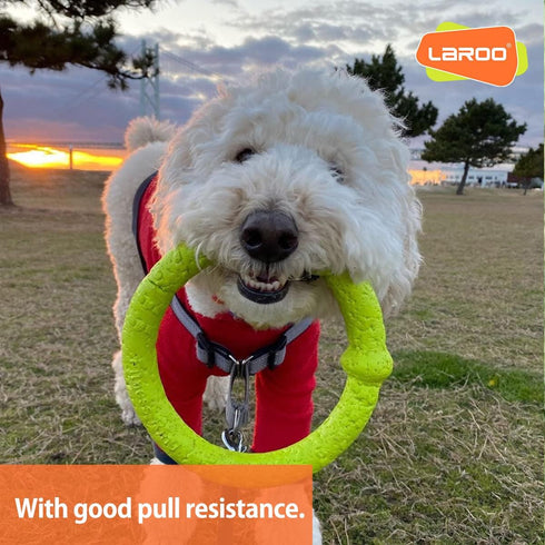 LaRoo Dog Flying Ring Toys, Durable Floating Disc for Training Outdoor Play for Medium Large Dogs (Small Green/18cm)