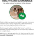 Kitty Sift 2-Pack - Jumbo Disposable Heavy Duty Cat Litter Box, 6mm Thick, Sustainable & Water Resistant