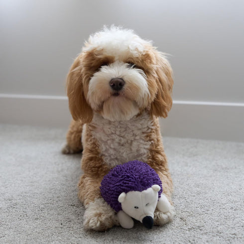 SPOT Gigglers Hedgehog Dog Toy with Giggle Sound | Textured, Plush Shake and Wiggle Hedgehog Giggle Toy for Small