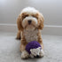 SPOT Gigglers Hedgehog Dog Toy with Giggle Sound | Textured, Plush Shake and Wiggle Hedgehog Giggle Toy for Small