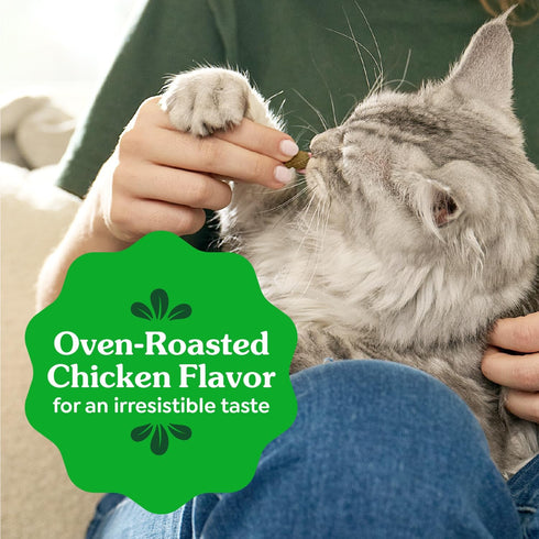 Veterinarian-Recommended 4.6 oz. Greenies Cat Treats, Feline Adult Natural Dental Cat Treats, Oven Roasted Chicken