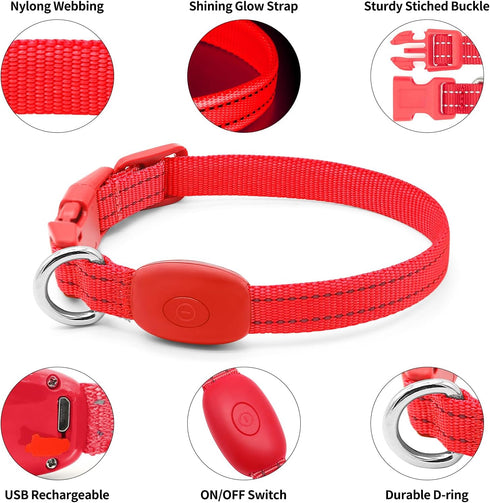 Illumifun Light Up Collar for Small Dogs, USB Rechargeable LED Dog Collar Glow in The Dark, Adjustable Cat Collar Light